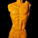 Yellow (Torso)